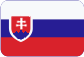 Vakuummetallisierung Slovensky